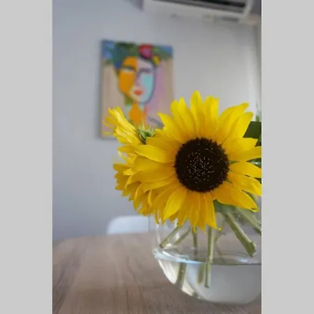 Denitas - Downtown *